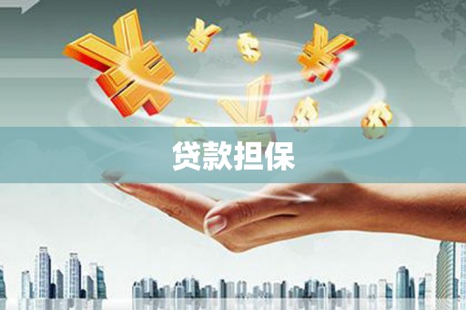 苑里贷款担保