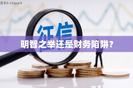 苑里明智之举还是财务陷阱？