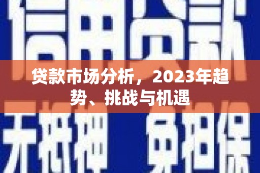 苑里贷款市场分析，2023年趋势、挑战与机遇
