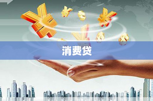苑里消费贷