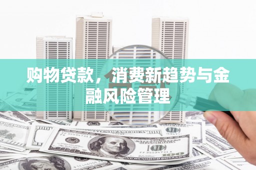 苑里购物贷款，消费新趋势与金融风险管理
