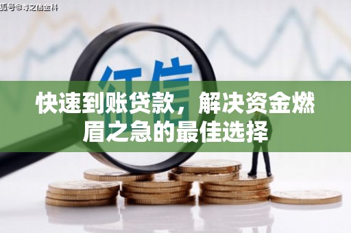 苑里快速到账贷款，解决资金燃眉之急的最佳选择