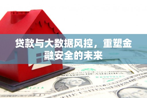 苑里贷款与大数据风控，重塑金融安全的未来