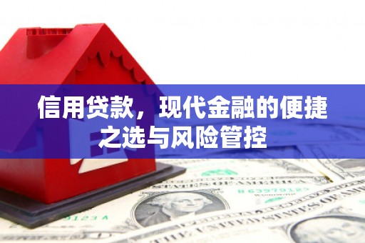 苑里信用贷款，现代金融的便捷之选与风险管控