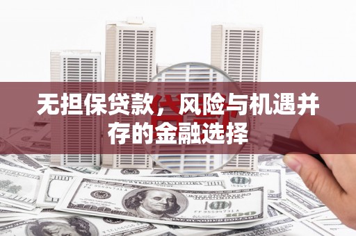 苑里无担保贷款，风险与机遇并存的金融选择