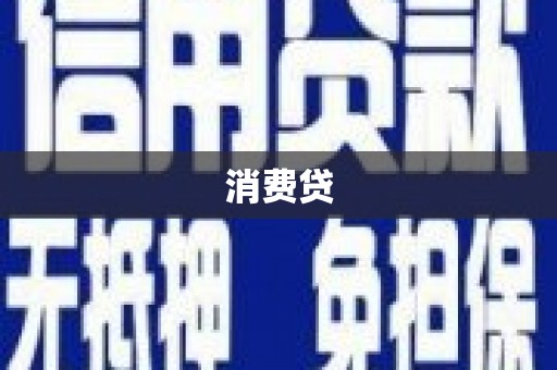 苑里消费贷