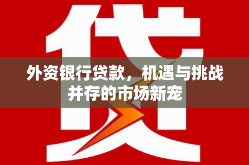 苑里外资银行贷款，机遇与挑战并存的市场新宠
