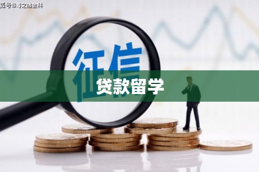 苑里贷款留学