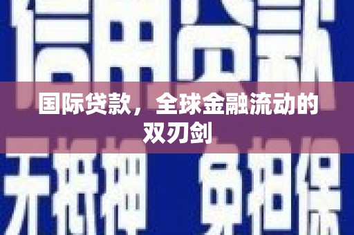 苑里国际贷款，全球金融流动的双刃剑