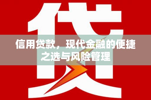 苑里信用贷款，现代金融的便捷之选与风险管理