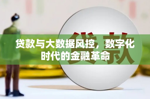 苑里贷款与大数据风控，数字化时代的金融革命