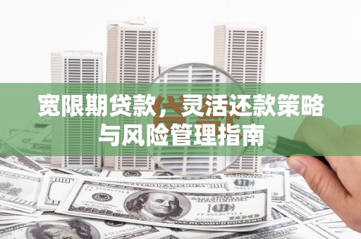 苑里宽限期贷款，灵活还款策略与风险管理指南