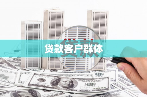 苑里贷款客户群体