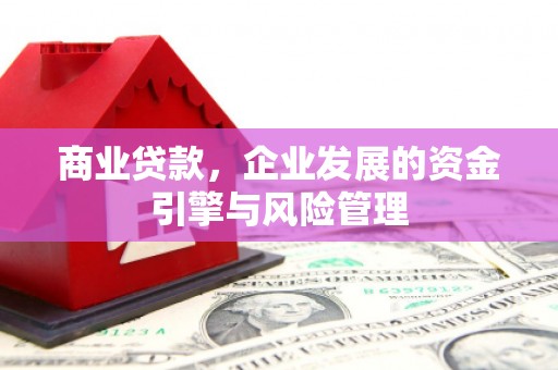 苑里商业贷款，企业发展的资金引擎与风险管理