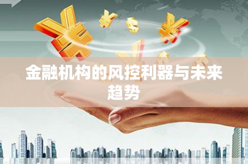苑里金融机构的风控利器与未来趋势
