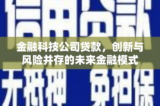 苑里金融科技公司贷款，创新与风险并存的未来金融模式