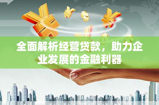 苑里全面解析经营贷款，助力企业发展的金融利器