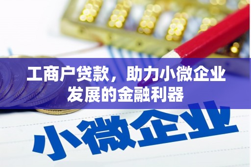 苑里工商户贷款，助力小微企业发展的金融利器