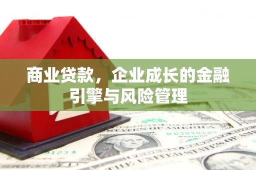 苑里商业贷款，企业成长的金融引擎与风险管理