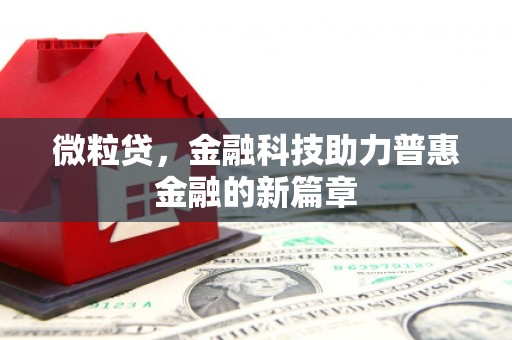 苑里微粒贷，金融科技助力普惠金融的新篇章
