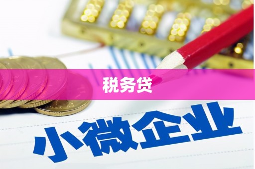 苑里税务贷