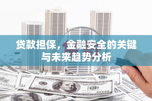 苑里贷款担保，金融安全的关键与未来趋势分析