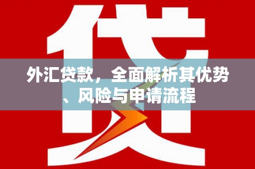 苑里外汇贷款，全面解析其优势、风险与申请流程