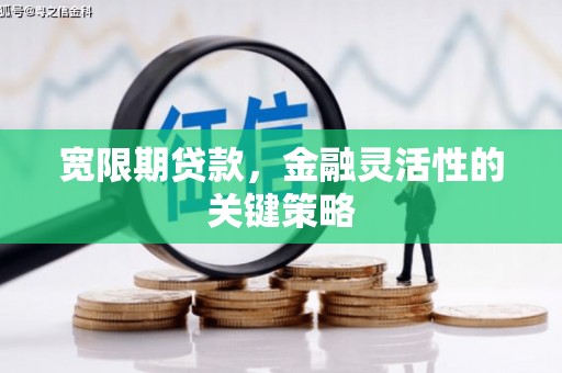苑里宽限期贷款，金融灵活性的关键策略