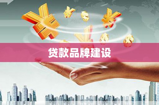 苑里贷款品牌建设