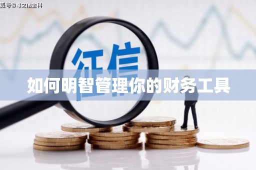 苑里如何明智管理你的财务工具