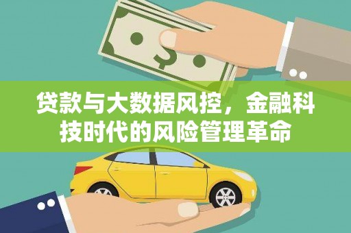 苑里贷款与大数据风控，金融科技时代的风险管理革命