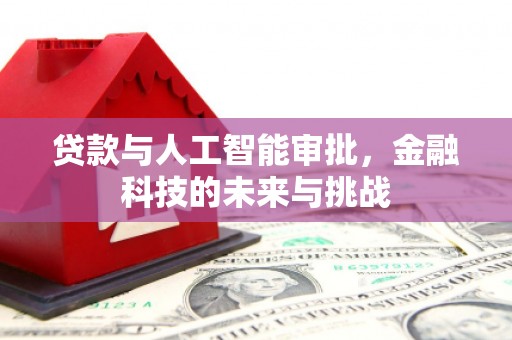 苑里贷款与人工智能审批，金融科技的未来与挑战
