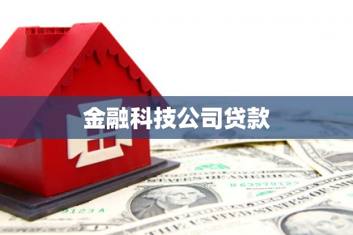 苑里金融科技公司贷款