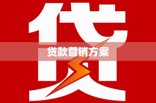 苑里贷款营销方案
