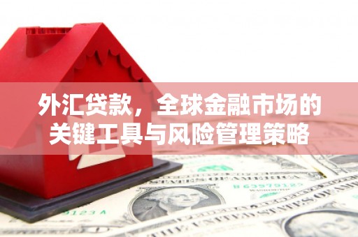 苑里外汇贷款，全球金融市场的关键工具与风险管理策略