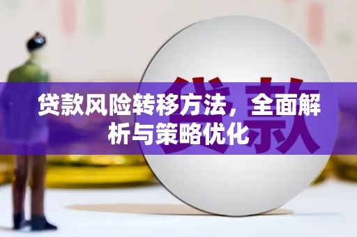 苑里贷款风险转移方法，全面解析与策略优化