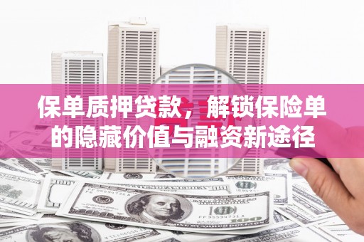苑里保单质押贷款，解锁保险单的隐藏价值与融资新途径