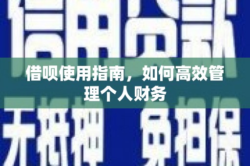 苑里借呗使用指南，如何高效管理个人财务