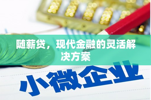 苑里随薪贷，现代金融的灵活解决方案