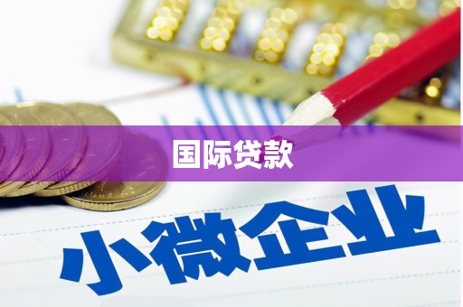 苑里国际贷款