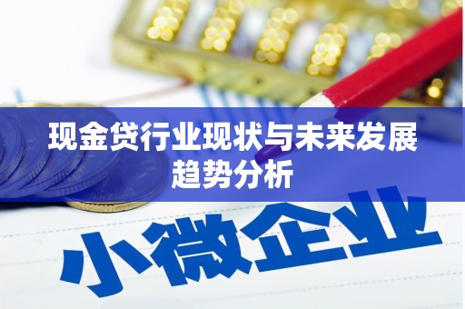 苑里现金贷行业现状与未来发展趋势分析