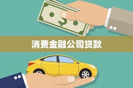 苑里消费金融公司贷款