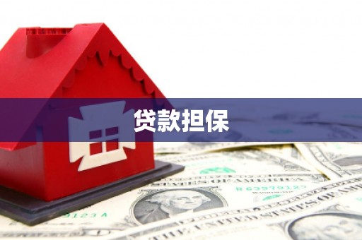 苑里贷款担保
