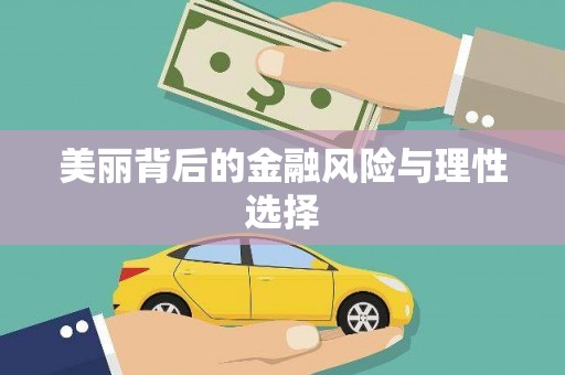 苑里美丽背后的金融风险与理性选择