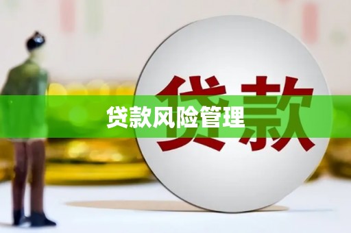 苑里贷款风险管理