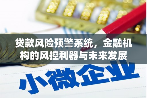 苑里贷款风险预警系统，金融机构的风控利器与未来发展