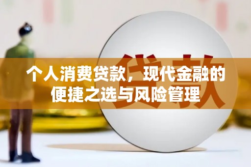 苑里个人消费贷款，现代金融的便捷之选与风险管理