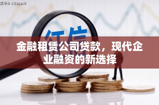 苑里金融租赁公司贷款，现代企业融资的新选择