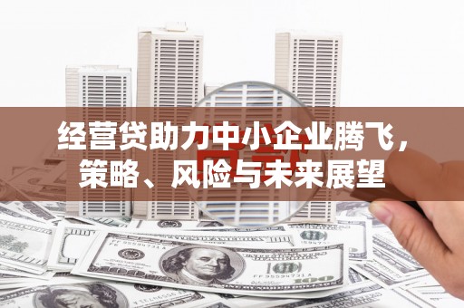 苑里经营贷助力中小企业腾飞，策略、风险与未来展望