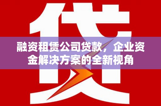 苑里融资租赁公司贷款，企业资金解决方案的全新视角
